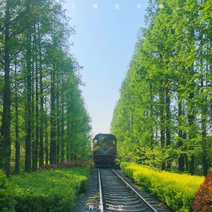 艾莉被❌❌爆乳无尽
